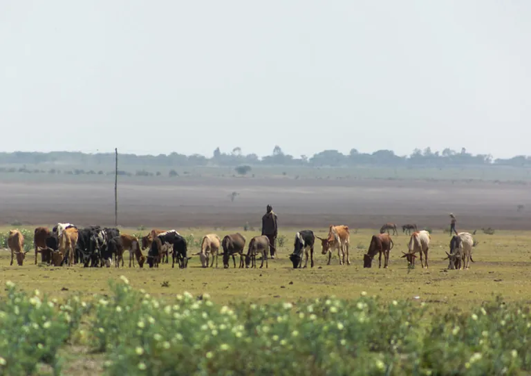 Climate Finance